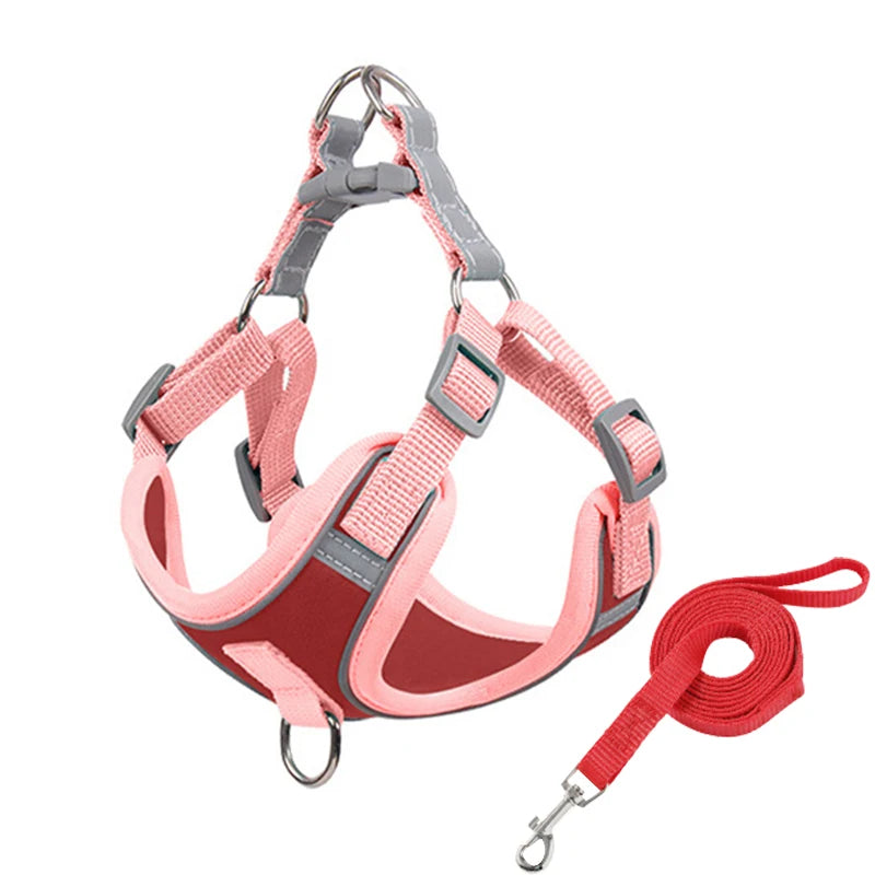 Green Paws Reflective Dog Harness