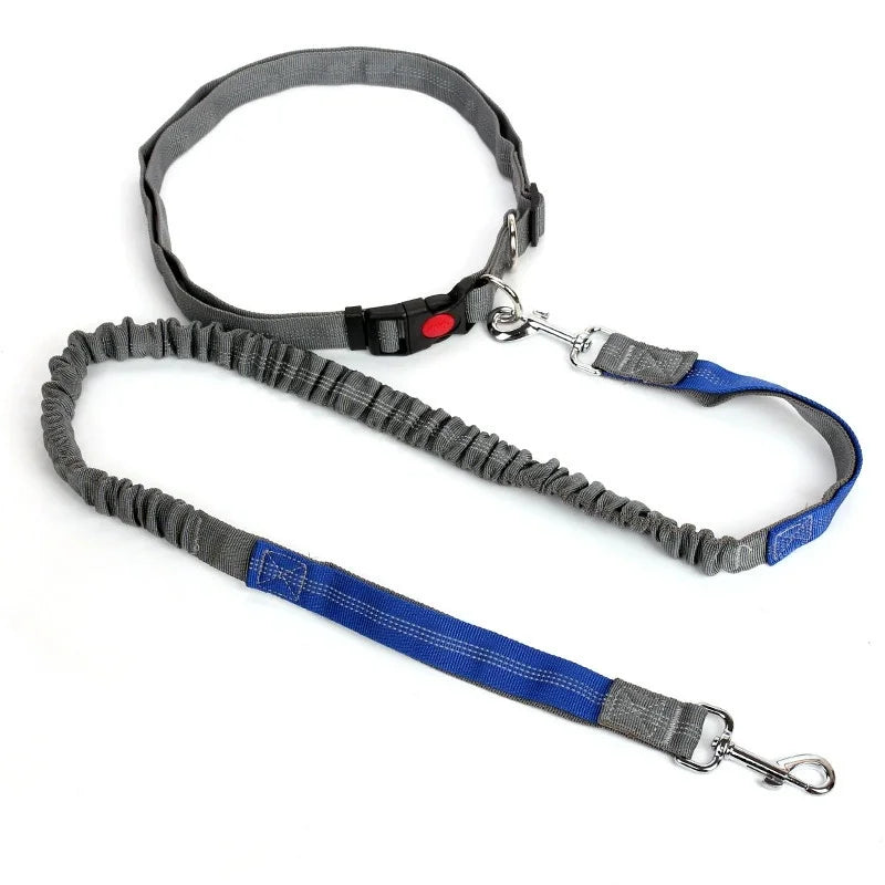 Ultimate Hands-Free Adjustable Dog Leash - Reflective Bungee Design for Active Adventures