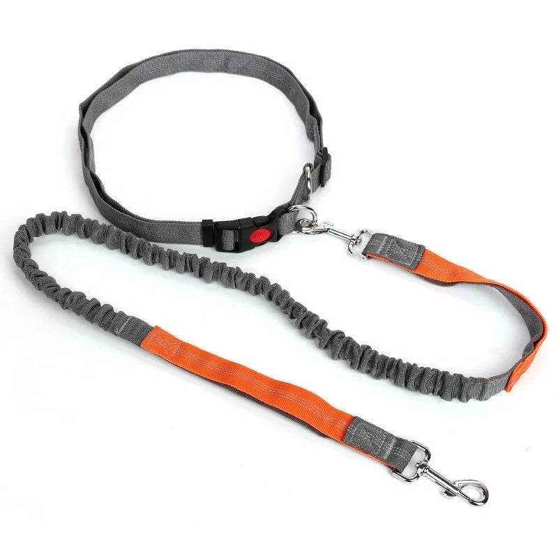 Ultimate Hands-Free Adjustable Dog Leash - Reflective Bungee Design for Active Adventures