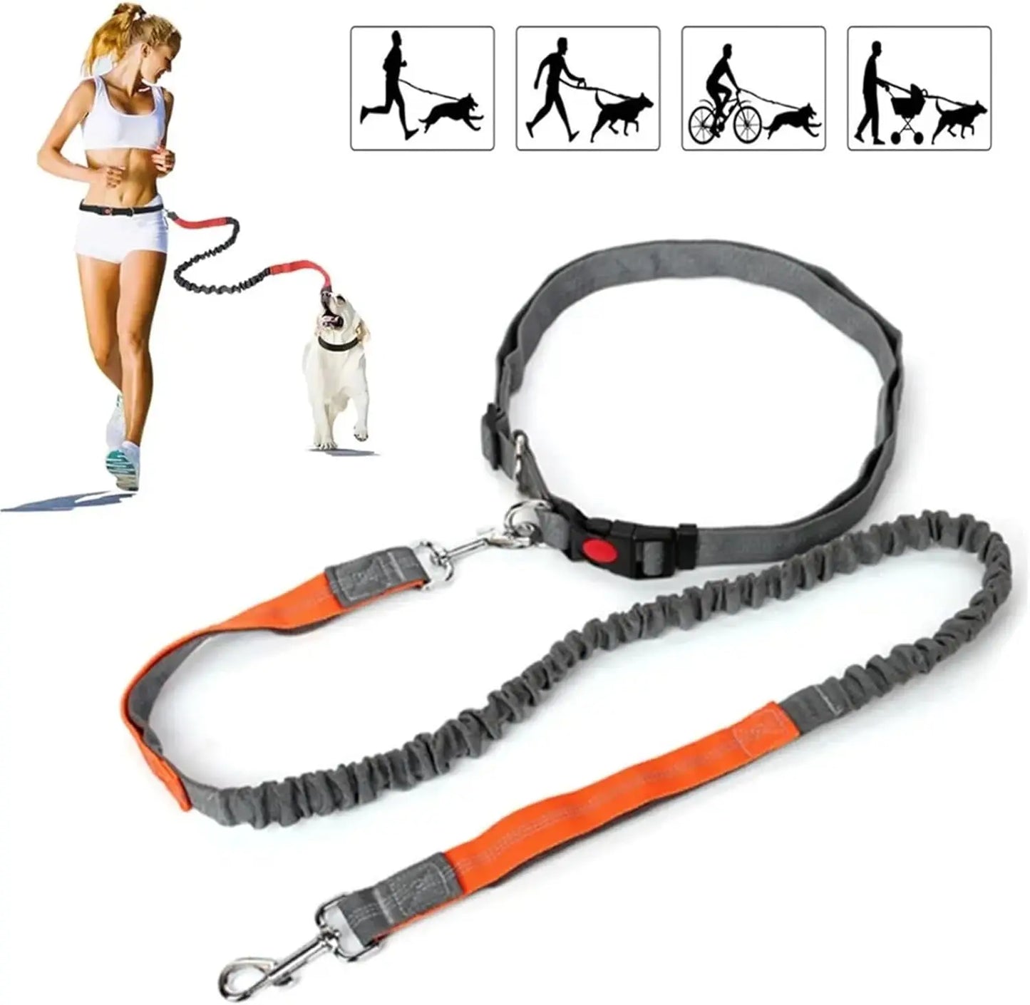 Ultimate Hands-Free Adjustable Dog Leash - Reflective Bungee Design for Active Adventures