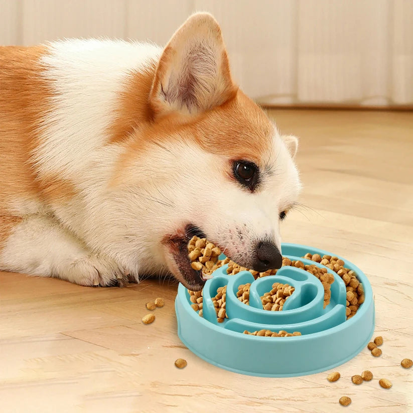 Elevate Your Pet's Mealtime with Our Fun Non-Slip Slow Feeder Bowl - Perfect for Small, Medium, and Large Dogs!