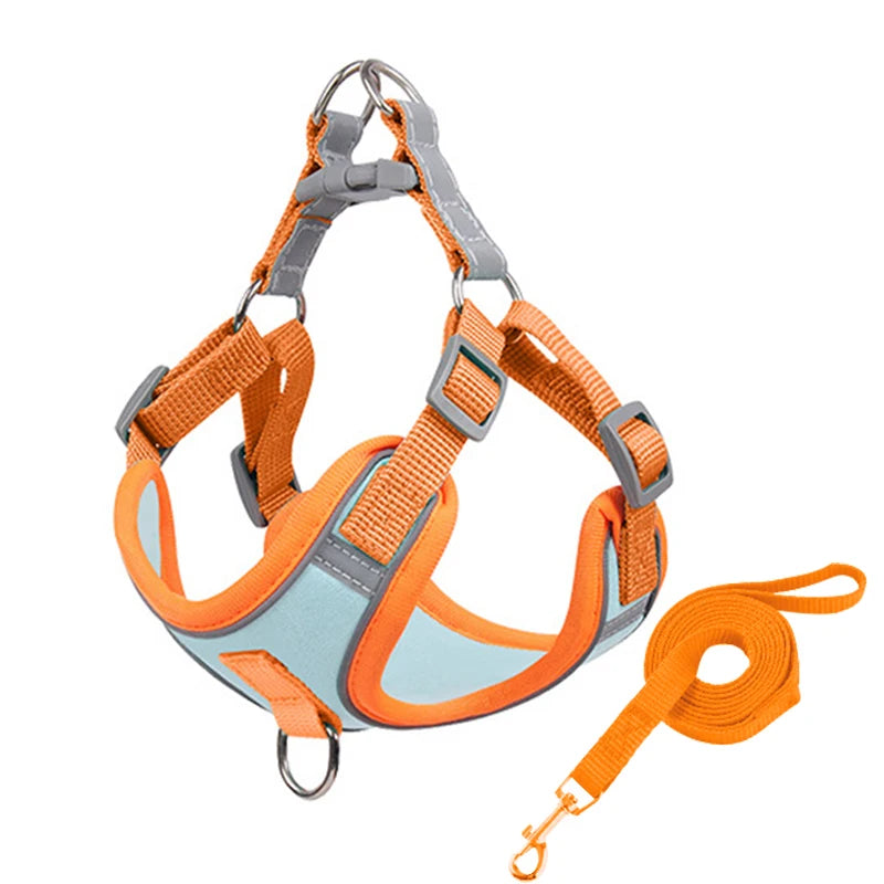 Green Paws Reflective Dog Harness