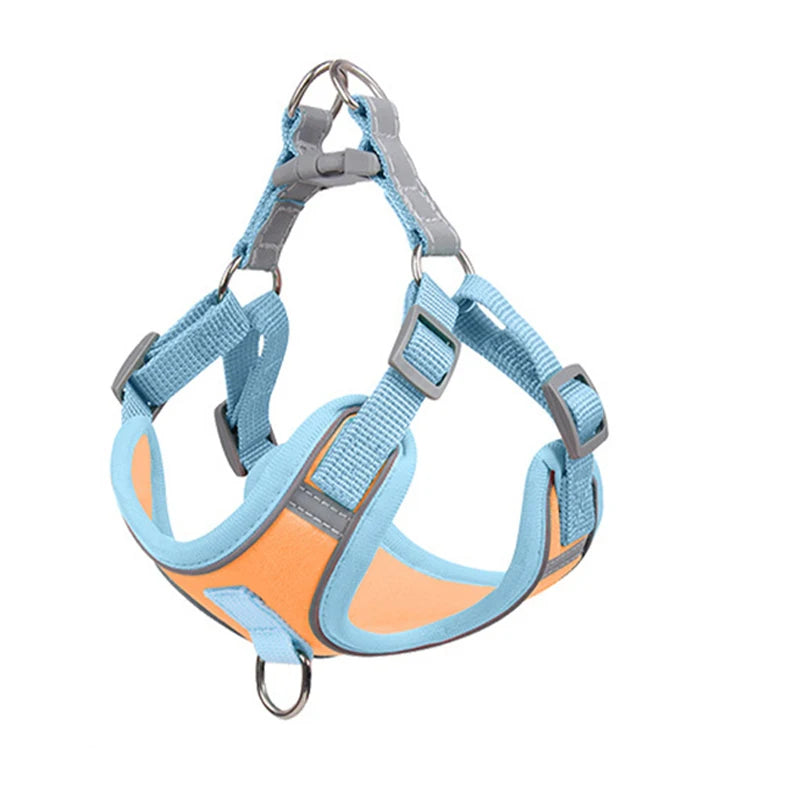 Green Paws Reflective Dog Harness