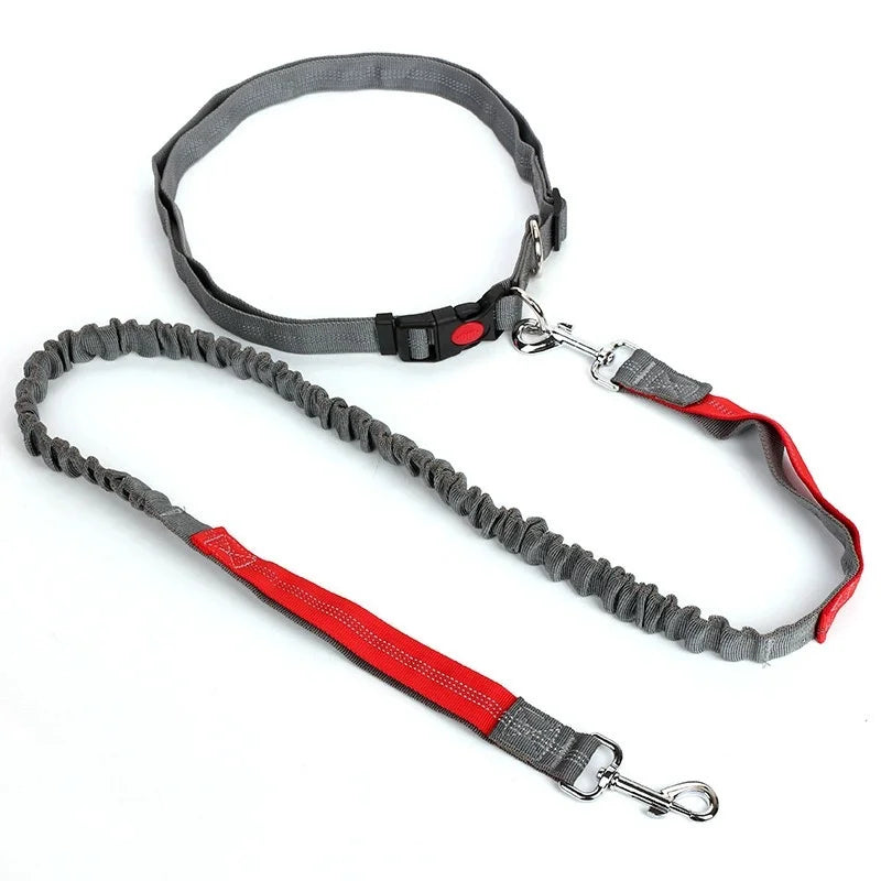 Ultimate Hands-Free Adjustable Dog Leash - Reflective Bungee Design for Active Adventures