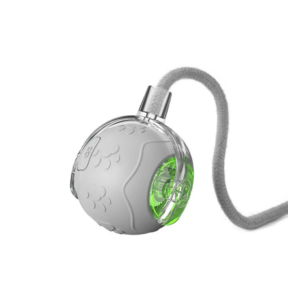Interactive Rechargeable Cat Ball Toy with Faux Tail - Electric Mouse Imitation for Indoor Play