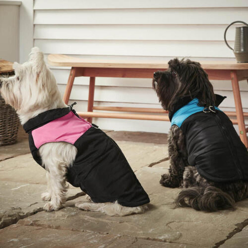 Waterproof Winter Vest for Dogs - Warm Outdoor Jacket for Puppies - UK