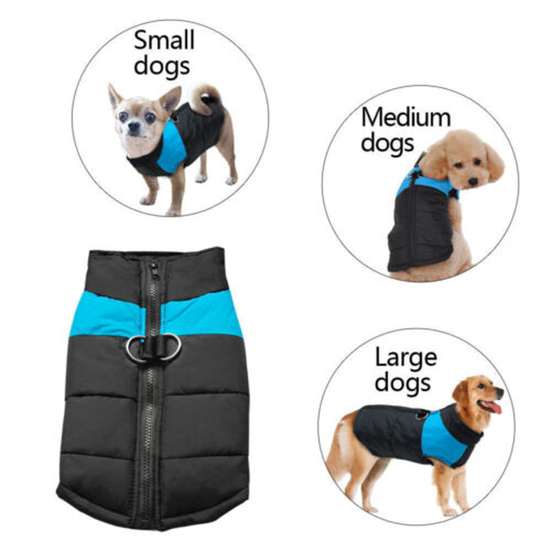 Waterproof Winter Vest for Dogs - Warm Outdoor Jacket for Puppies - UK