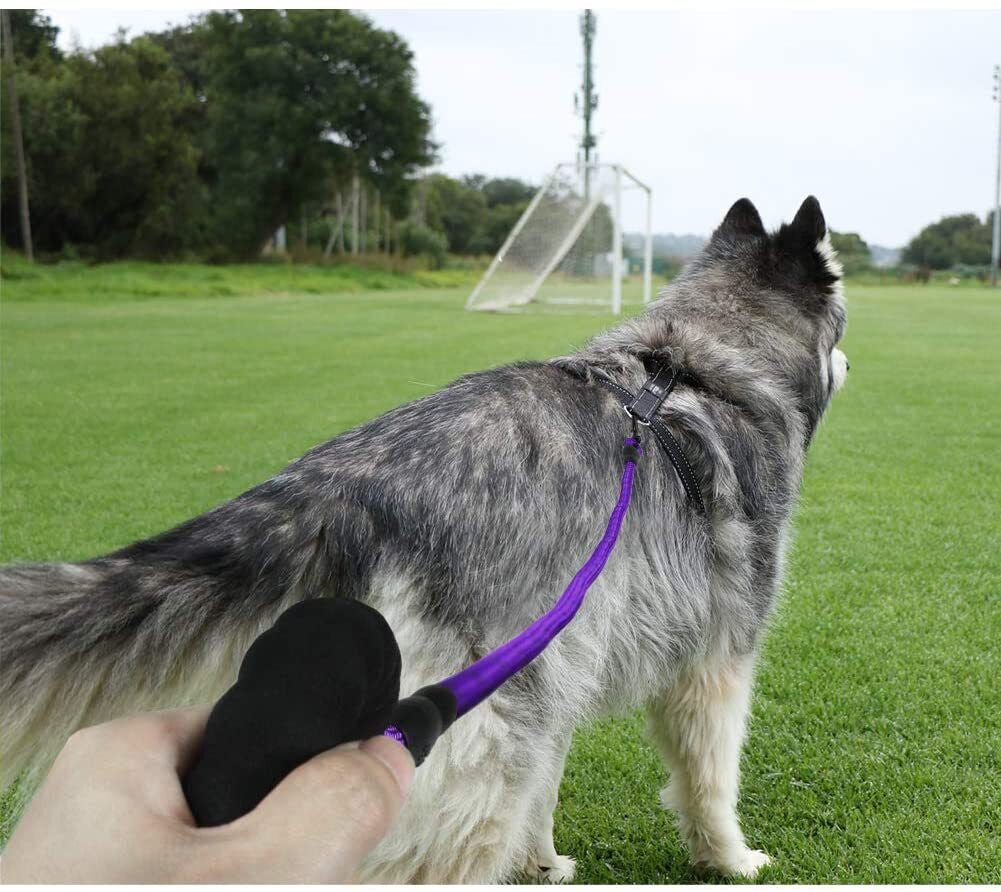 5FT Reflective Braided Rope Dog Leash for Medium to Large Breeds