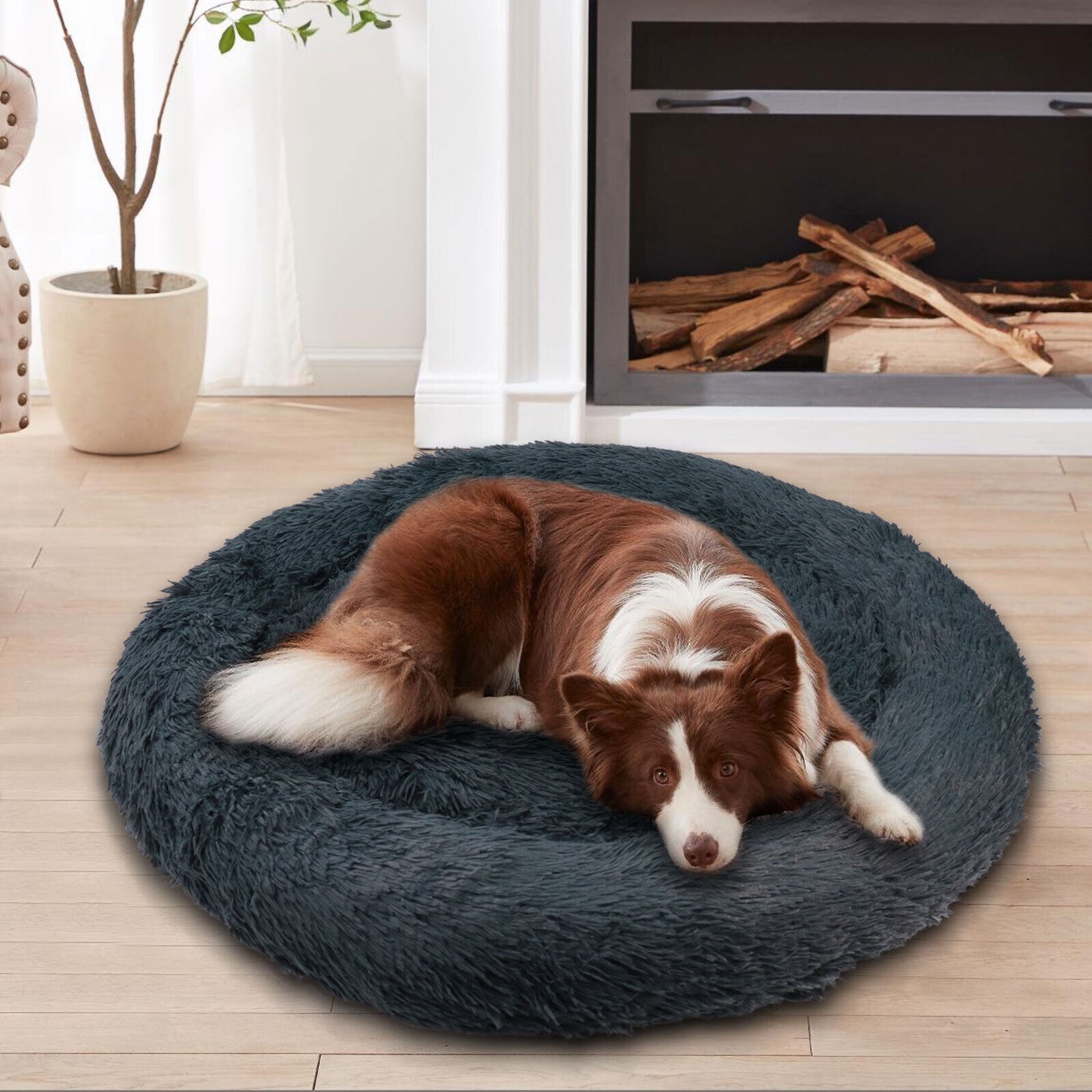 Premium Soft and Washable Pet Bed for Cats and Dogs - Available in Sizes S, M, and L