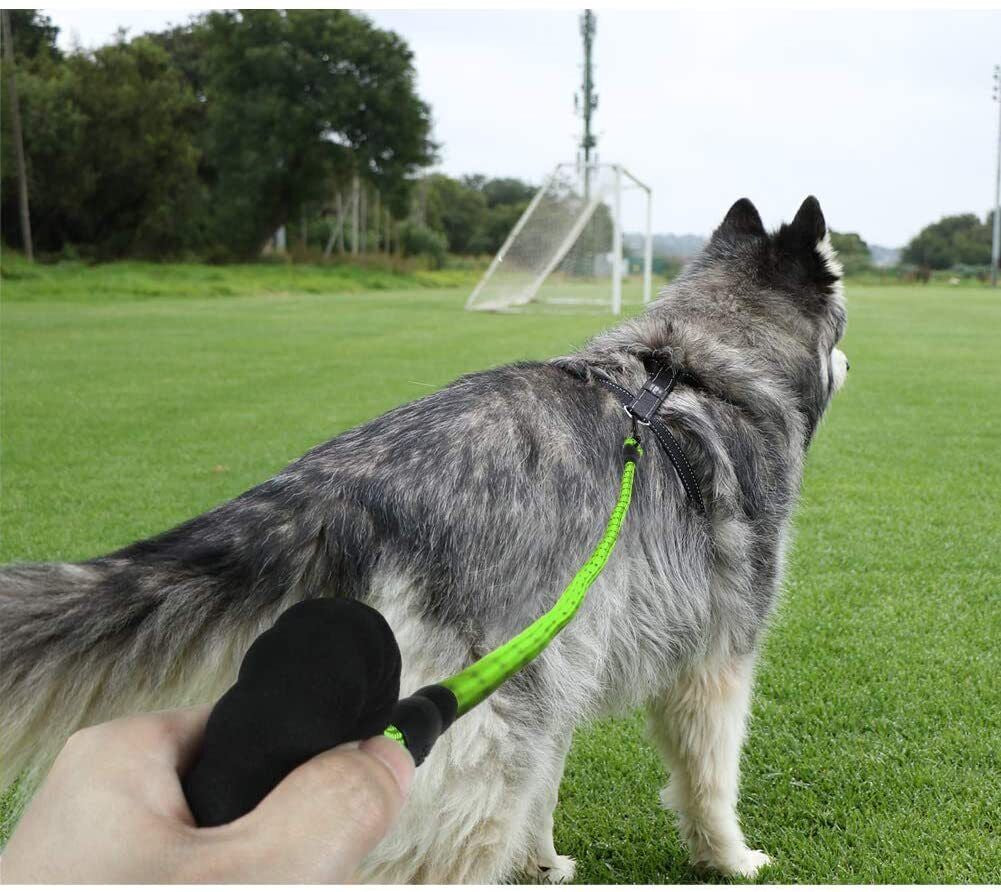 5FT Reflective Braided Rope Dog Leash for Medium to Large Breeds