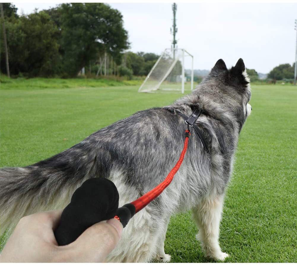 5FT Reflective Braided Rope Dog Leash for Medium to Large Breeds