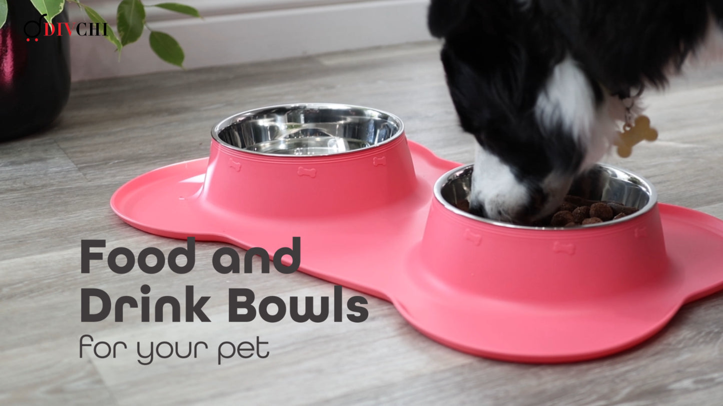 Double Stainless Steel Pet Bowl Set with Non-Slip Base for Food and Water
