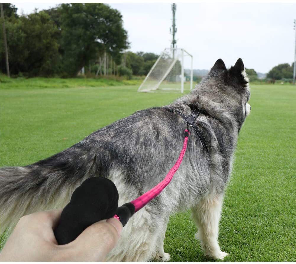 5FT Reflective Braided Rope Dog Leash for Medium to Large Breeds