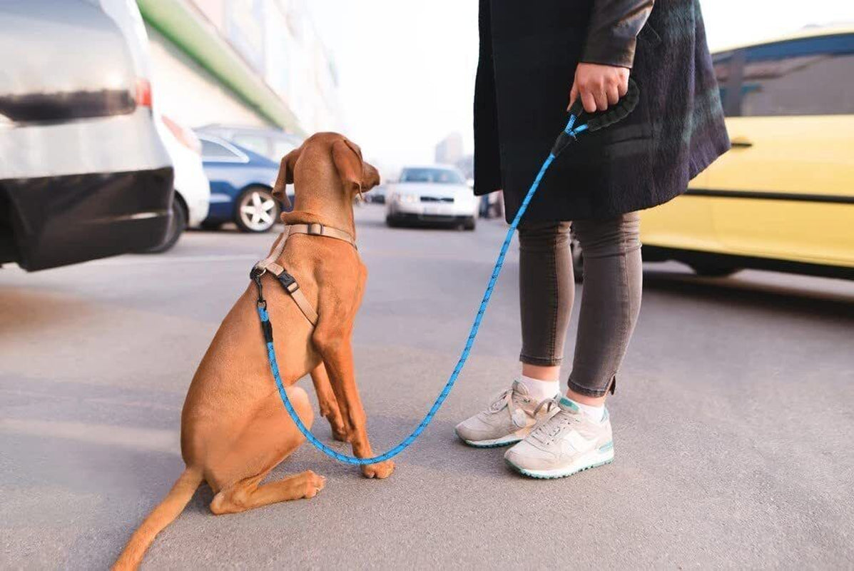 5FT Reflective Braided Rope Dog Leash for Medium to Large Breeds