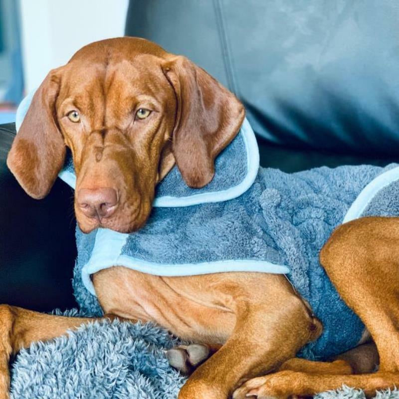 Henry Wag Microfiber Drying Coat - Fast-Dry Absorbent Towel for Pet Cleaning