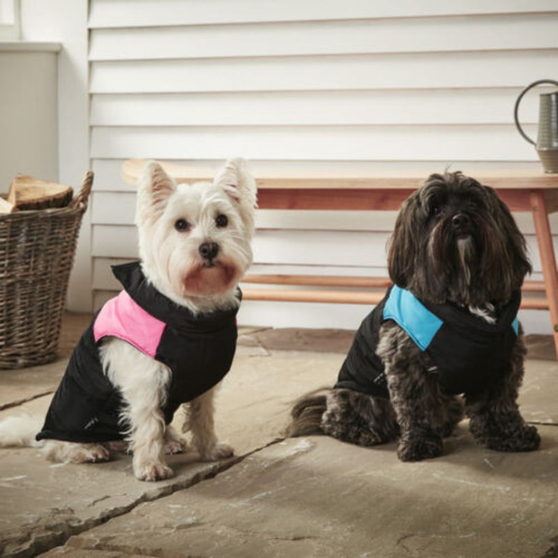 Waterproof Winter Vest for Dogs - Warm Outdoor Jacket for Puppies - UK