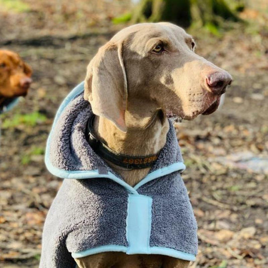 Henry Wag Microfiber Drying Coat - Fast-Dry Absorbent Towel for Pet Cleaning