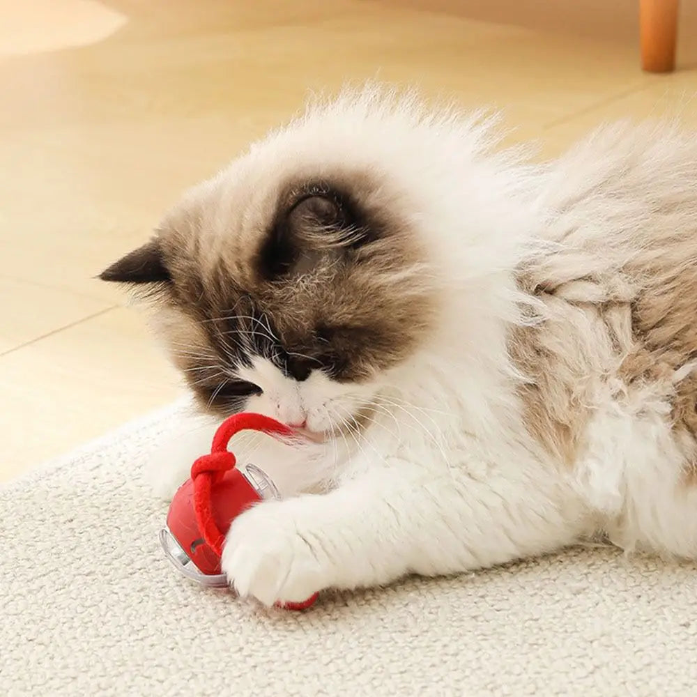 Interactive Rechargeable Cat Ball Toy with Faux Tail - Electric Mouse Imitation for Indoor Play