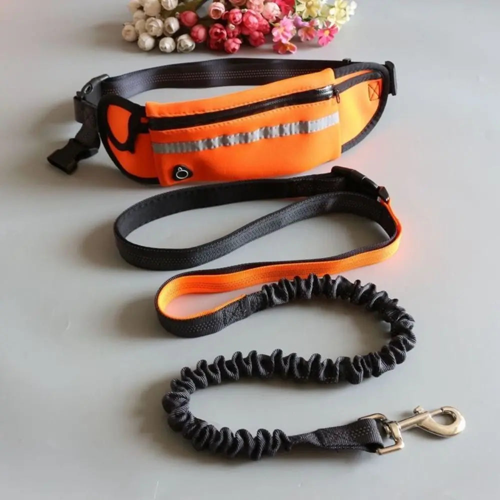 Adjustable Hands-Free Reflective Dog Leash with Detachable Waist Bag for Active Pet Owners