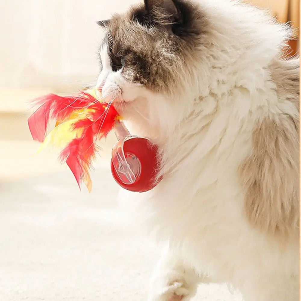 Interactive Rechargeable Cat Ball Toy with Faux Tail - Electric Mouse Imitation for Indoor Play