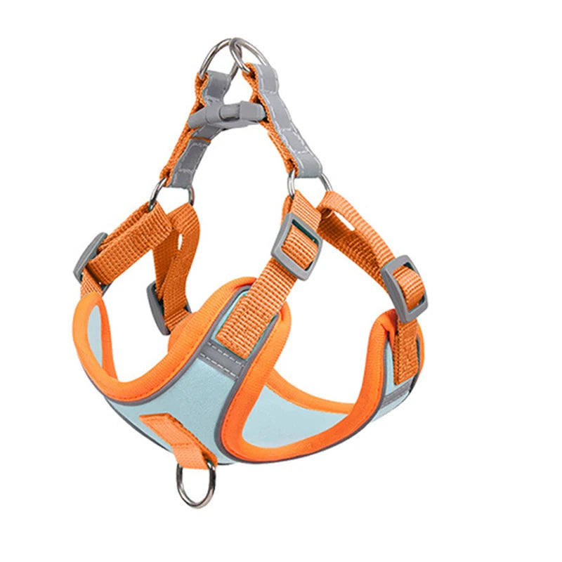 Green Paws Reflective Dog Harness