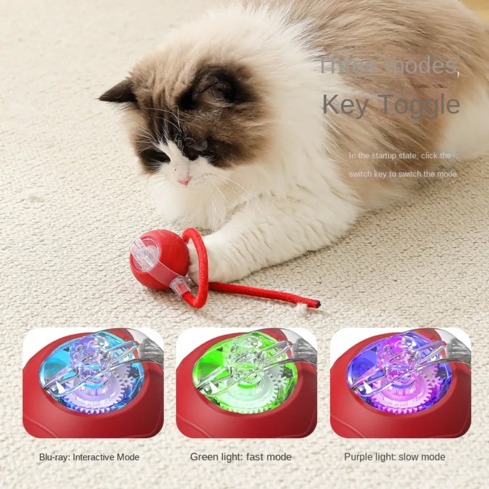 Interactive Rechargeable Cat Ball Toy with Faux Tail - Electric Mouse Imitation for Indoor Play