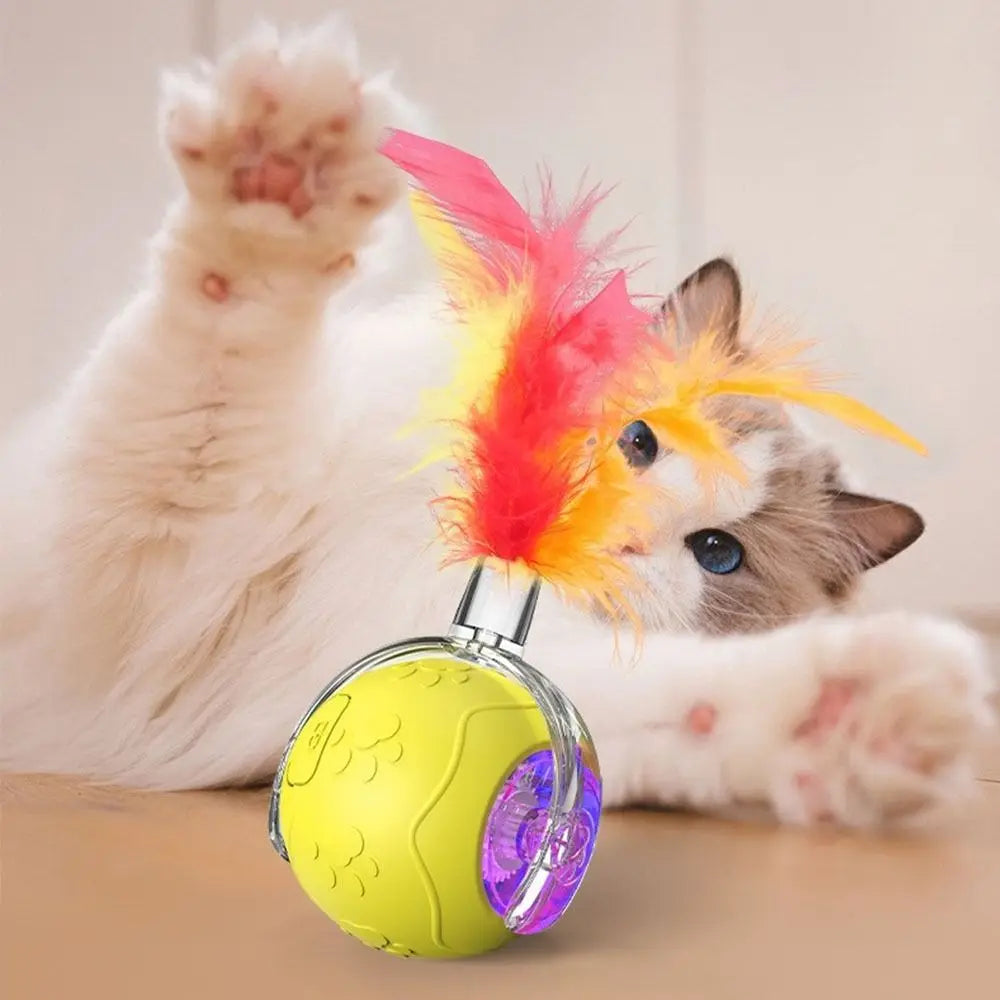 Interactive Rechargeable Cat Ball Toy with Faux Tail - Electric Mouse Imitation for Indoor Play