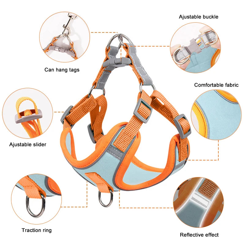 Green Paws Reflective Dog Harness