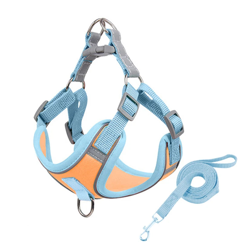 Green Paws Reflective Dog Harness