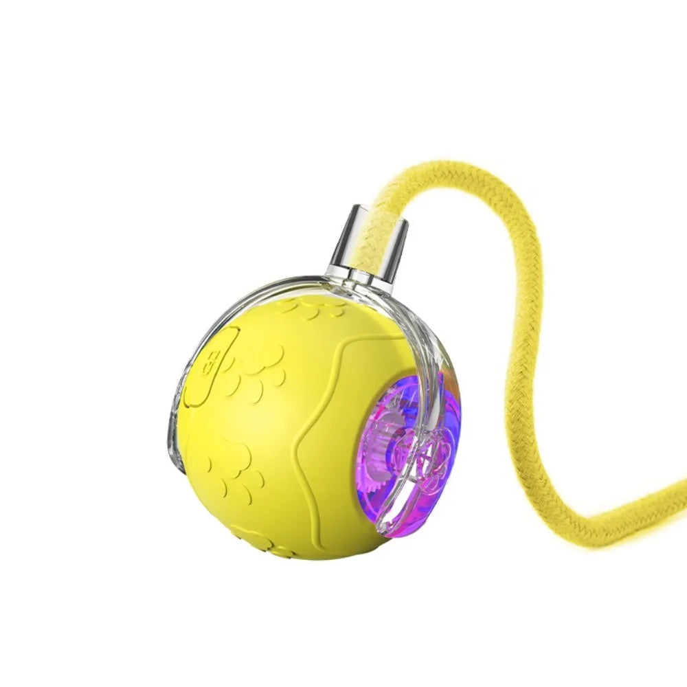 Interactive Rechargeable Cat Ball Toy with Faux Tail - Electric Mouse Imitation for Indoor Play