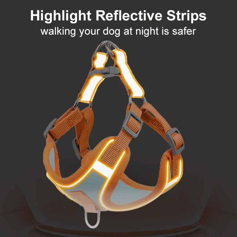 Green Paws Reflective Dog Harness