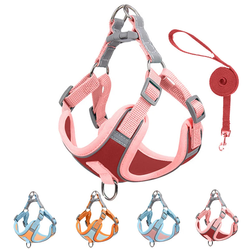 Green Paws Reflective Dog Harness