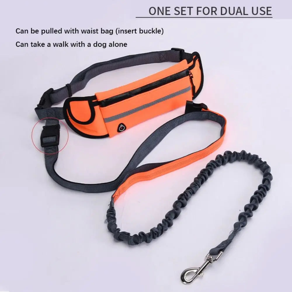 Adjustable Hands-Free Reflective Dog Leash with Detachable Waist Bag for Active Pet Owners