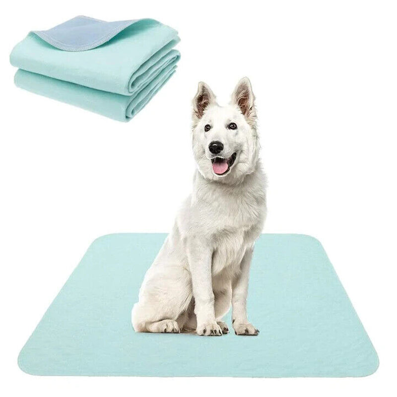 Pet Training Pad Wee Mat Cat Dog Pets 50X40Cm