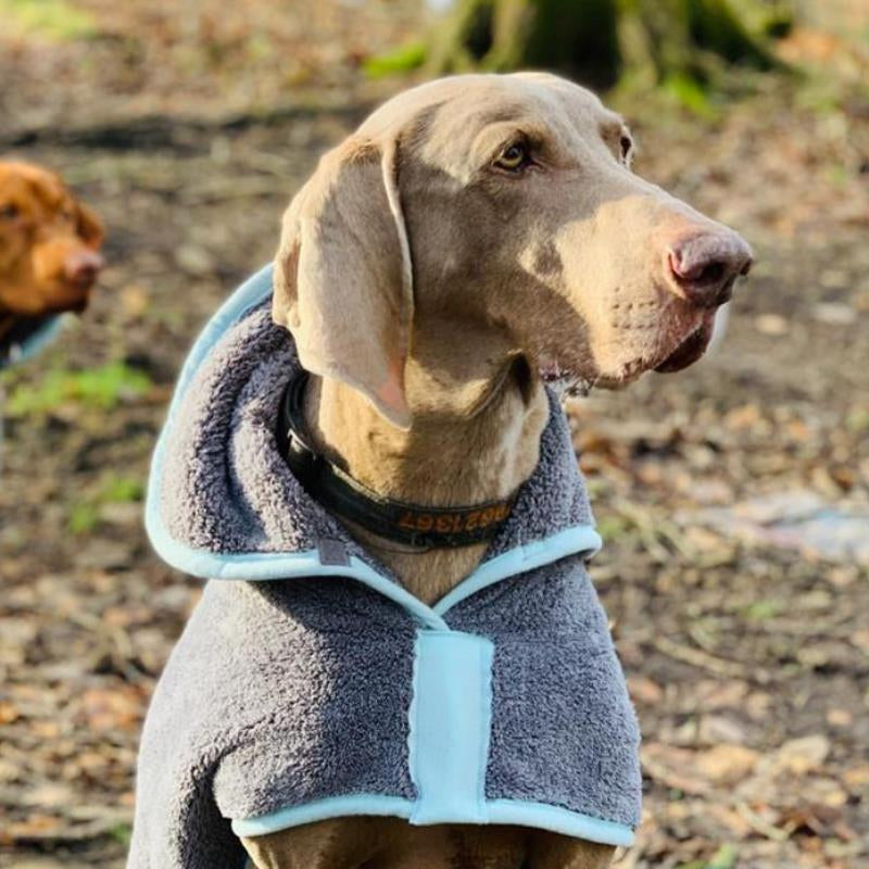 Henry Wag Microfiber Drying Coat - Fast-Dry Absorbent Towel for Pet Cleaning
